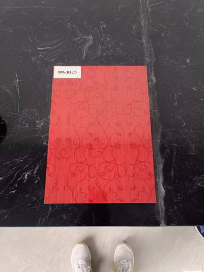 Correa de acero inoxidable de alta calidad con correa de acero inoxidable 304 Ss